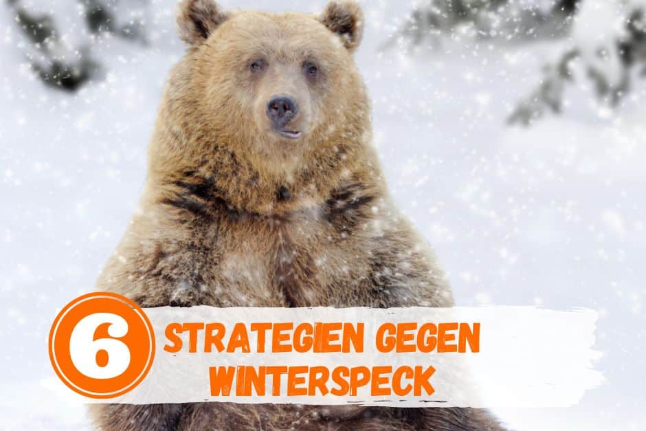 Bär sitzt im Schnee. 6 Strategien gegen Winterspeck.