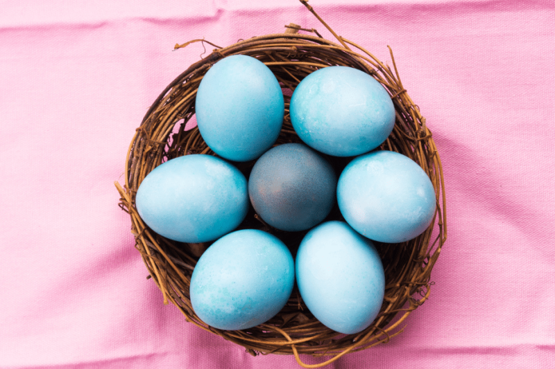 Wie viele Eier darf man essen? _blog